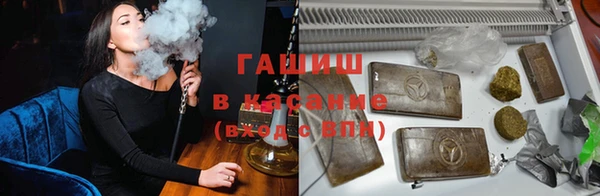 гидра Алексеевка