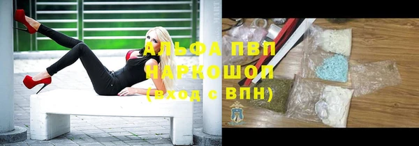 гидра Алексеевка