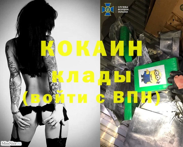 гидра Нея