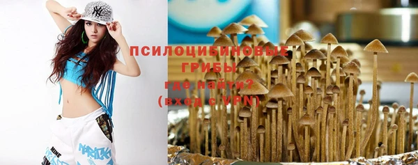 гидра Алексеевка