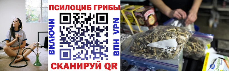 Галлюциногенные грибы MAGIC MUSHROOMS  где купить наркотик  Боровск 